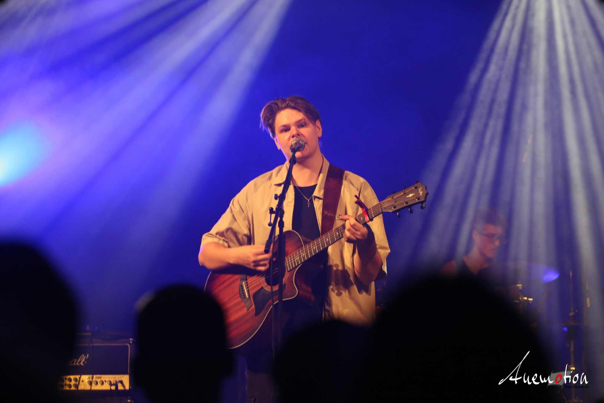 ElephantsFalling (34)